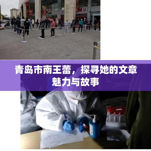 青島市南王蕾，探尋她的文章魅力與故事