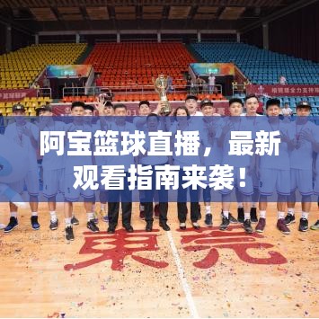 阿寶籃球直播，最新觀看指南來(lái)襲！