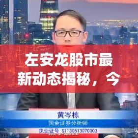 左安龍股市最新動態(tài)揭秘，今日走勢一覽無余