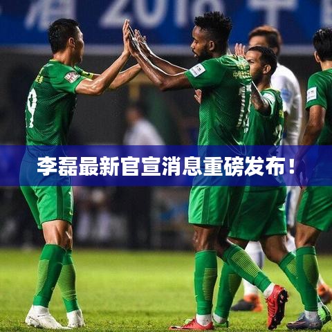 李磊最新官宣消息重磅發(fā)布！
