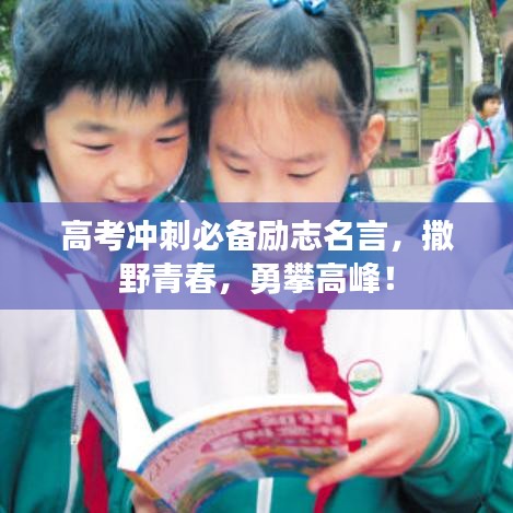 高考沖刺必備勵志名言，撒野青春，勇攀高峰！