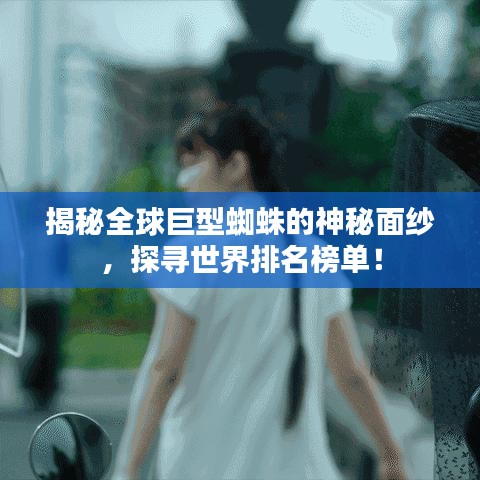 2025年3月6日 第4頁(yè)