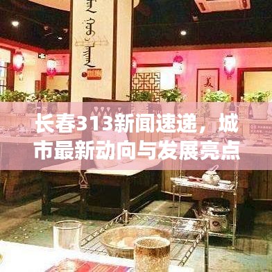 長春313新聞速遞，城市最新動向與發(fā)展亮點揭秘