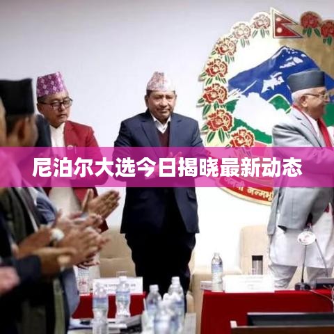 尼泊爾大選今日揭曉最新動態(tài)