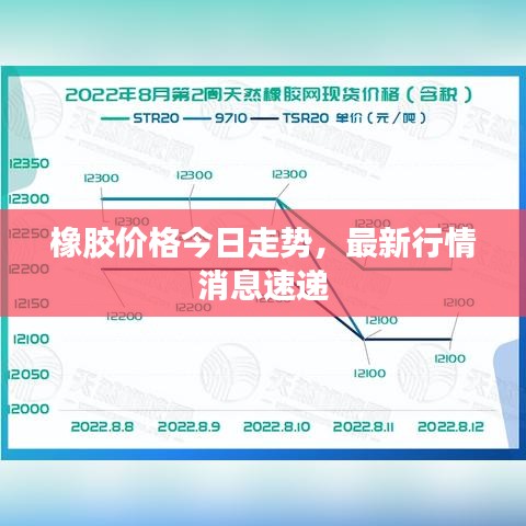 橡膠價格今日走勢，最新行情消息速遞