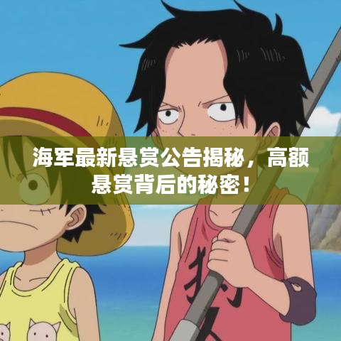 海軍最新懸賞公告揭秘，高額懸賞背后的秘密！