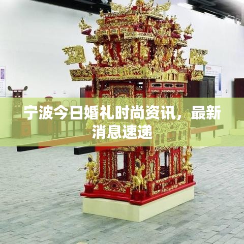 寧波今日婚禮時(shí)尚資訊，最新消息速遞