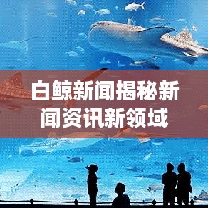 白鯨新聞揭秘新聞資訊新領(lǐng)域，今日頭條引領(lǐng)探索潮流