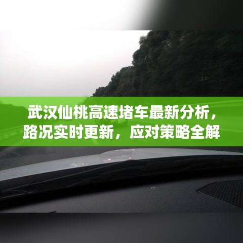 武漢仙桃高速堵車最新分析，路況實時更新，應(yīng)對策略全解讀