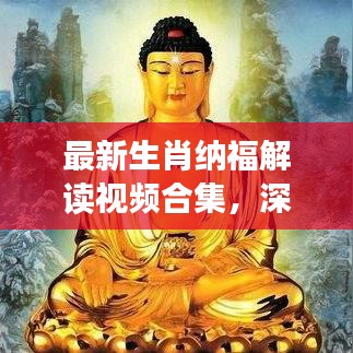 最新生肖納福解讀視頻合集，深度探索生肖文化的神秘內(nèi)涵與福運寓意