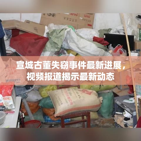 宣城古董失竊事件最新進(jìn)展，視頻報道揭示最新動態(tài)