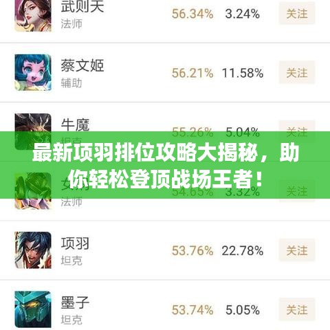 最新項(xiàng)羽排位攻略大揭秘，助你輕松登頂戰(zhàn)場(chǎng)王者！