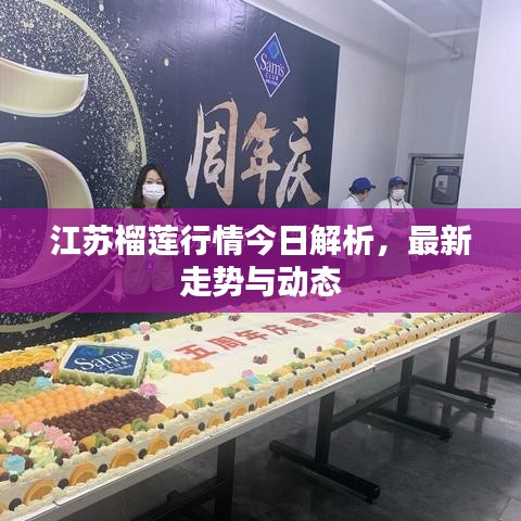 江蘇榴蓮行情今日解析，最新走勢(shì)與動(dòng)態(tài)