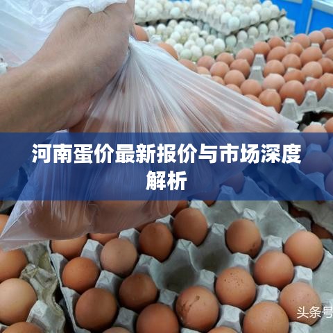 河南蛋價(jià)最新報(bào)價(jià)與市場(chǎng)深度解析