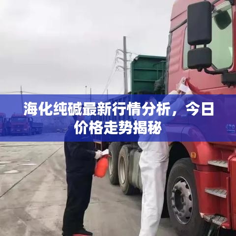 ?；儔A最新行情分析，今日價(jià)格走勢(shì)揭秘