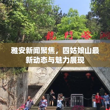 雅安新聞聚焦，四姑娘山最新動(dòng)態(tài)與魅力展現(xiàn)