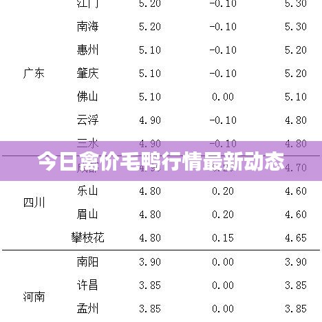 今日禽價(jià)毛鴨行情最新動(dòng)態(tài)