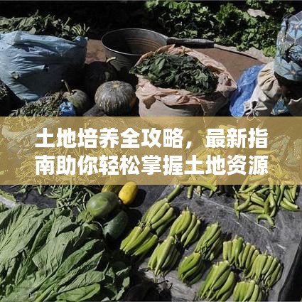 土地培養(yǎng)全攻略，最新指南助你輕松掌握土地資源培育技巧！