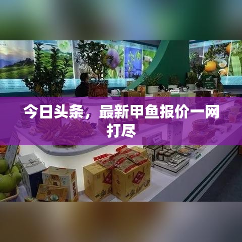 今日頭條，最新甲魚報價一網(wǎng)打盡
