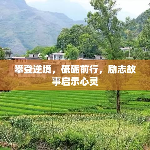 攀登逆境，砥礪前行，勵志故事啟示心靈