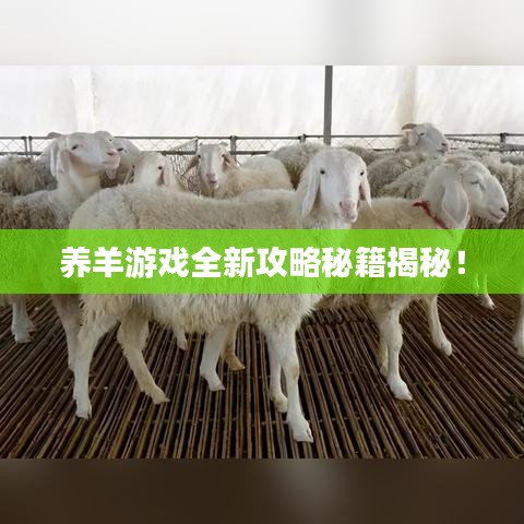 養(yǎng)羊游戲全新攻略秘籍揭秘！