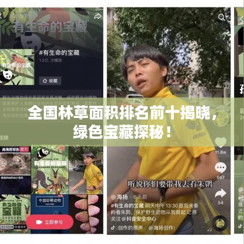 全國(guó)林草面積排名前十揭曉，綠色寶藏探秘！