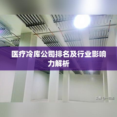 醫(yī)療冷庫公司排名及行業(yè)影響力解析