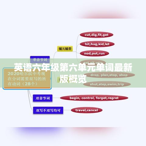 英語六年級第六單元單詞最新版概覽