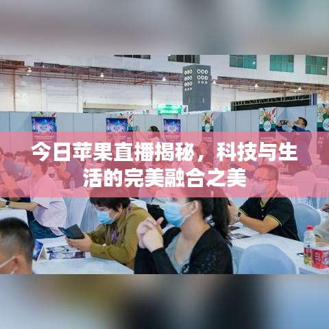今日蘋(píng)果直播揭秘，科技與生活的完美融合之美