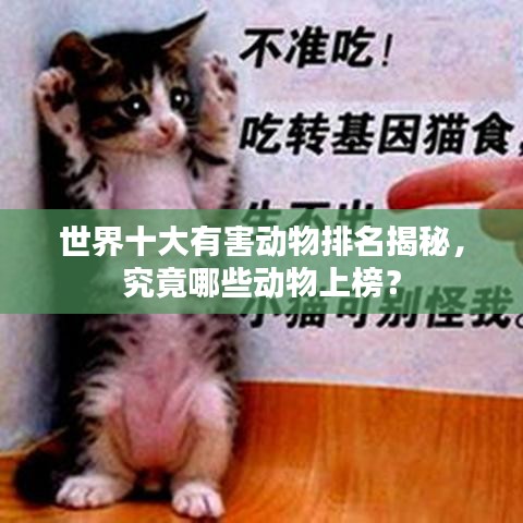 世界十大有害動(dòng)物排名揭秘，究竟哪些動(dòng)物上榜？