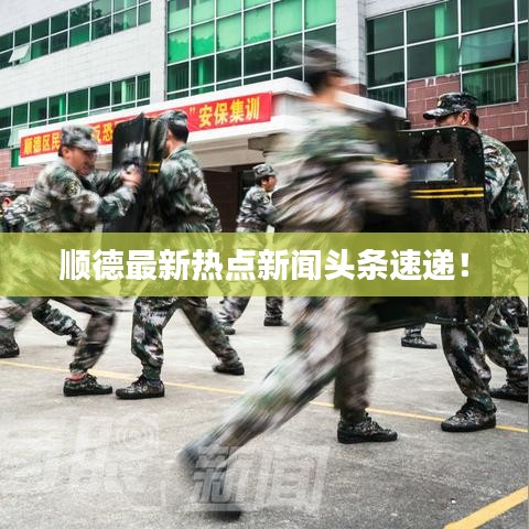 順德最新熱點新聞頭條速遞！