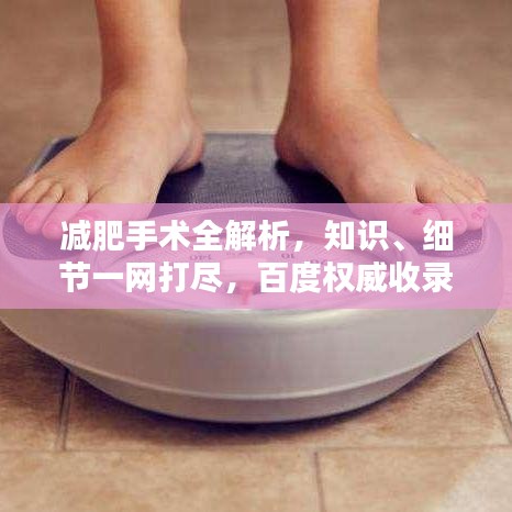 減肥手術(shù)全解析，知識、細節(jié)一網(wǎng)打盡，百度權(quán)威收錄標題
