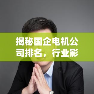 揭秘國企電機公司排名，行業(yè)影響力不容小覷！