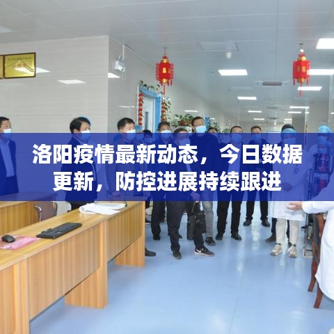 洛陽疫情最新動態(tài)，今日數(shù)據(jù)更新，防控進展持續(xù)跟進