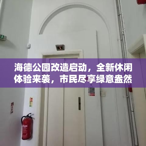 海德公園改造啟動，全新休閑體驗來襲，市民盡享綠意盎然時光