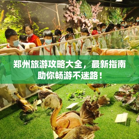 鄭州旅游攻略大全，最新指南助你暢游不迷路！