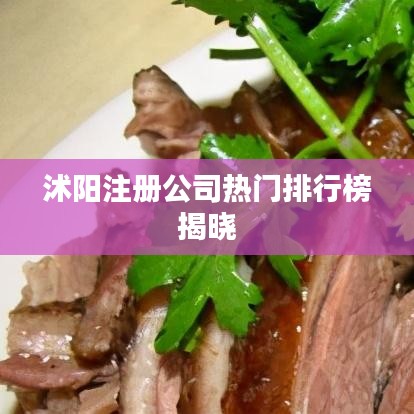 沭陽注冊公司熱門排行榜揭曉