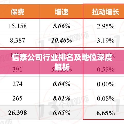 信泰公司行業(yè)排名及地位深度解析