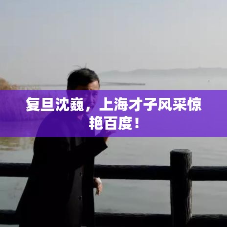 復(fù)旦沈巍，上海才子風(fēng)采驚艷百度！