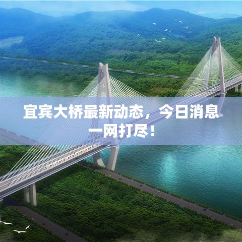 宜賓大橋最新動態(tài)，今日消息一網(wǎng)打盡！