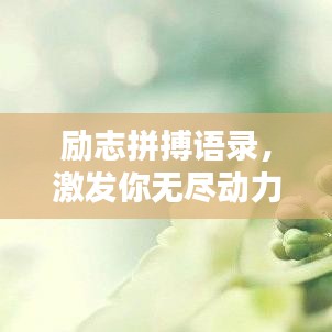勵(lì)志拼搏語錄，激發(fā)你無盡動(dòng)力！