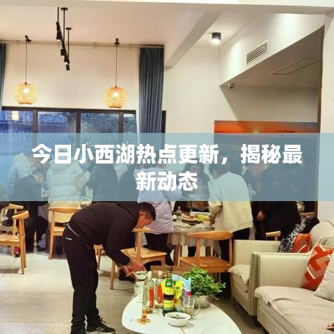今日小西湖熱點(diǎn)更新，揭秘最新動(dòng)態(tài)