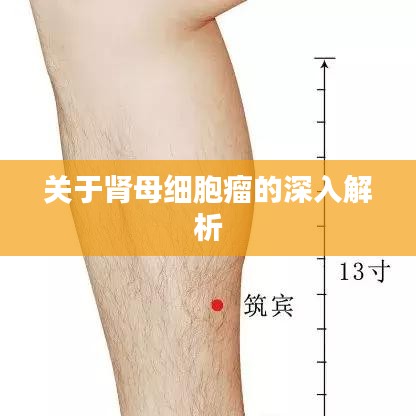 關(guān)于腎母細(xì)胞瘤的深入解析