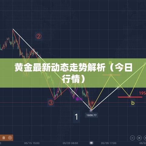 黃金最新動態(tài)走勢解析（今日行情）