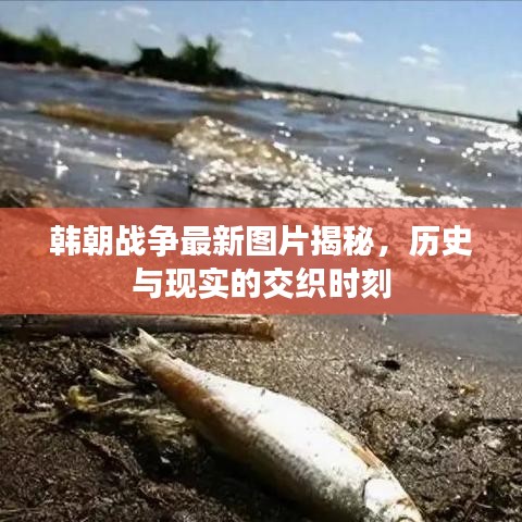 2025年3月30日 第5頁(yè)