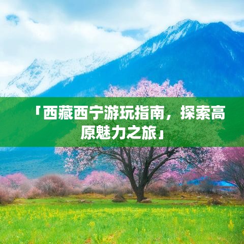 「西藏西寧游玩指南，探索高原魅力之旅」