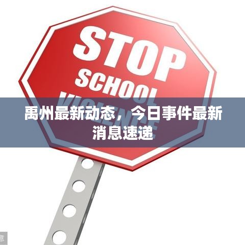 禹州最新動態(tài)，今日事件最新消息速遞