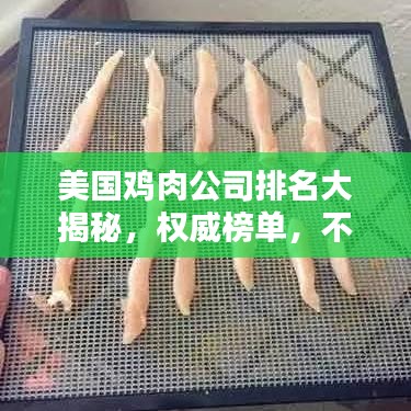 美國(guó)雞肉公司排名大揭秘，權(quán)威榜單，不容錯(cuò)過！
