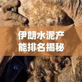 伊朗水泥產(chǎn)能排名揭秘，前十名企業(yè)大盤點(diǎn)！