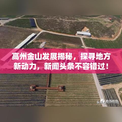 高州金山發(fā)展揭秘，探尋地方新動(dòng)力，新聞?lì)^條不容錯(cuò)過！
